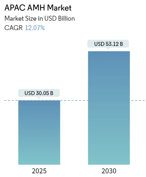 Asia Pacific Automated Material Handling Market Overview